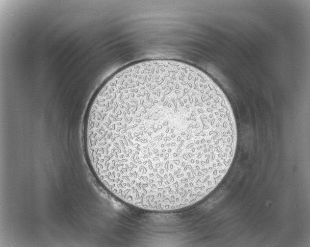 X0000067480856200604150014