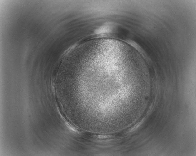 X0000067480857200604150014