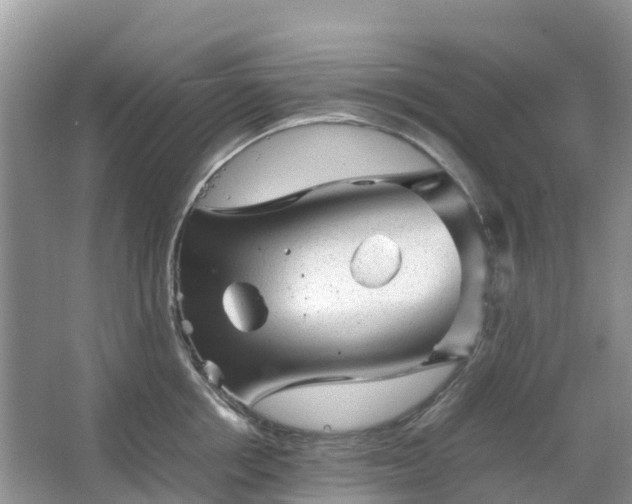 X0000067480858200604150014