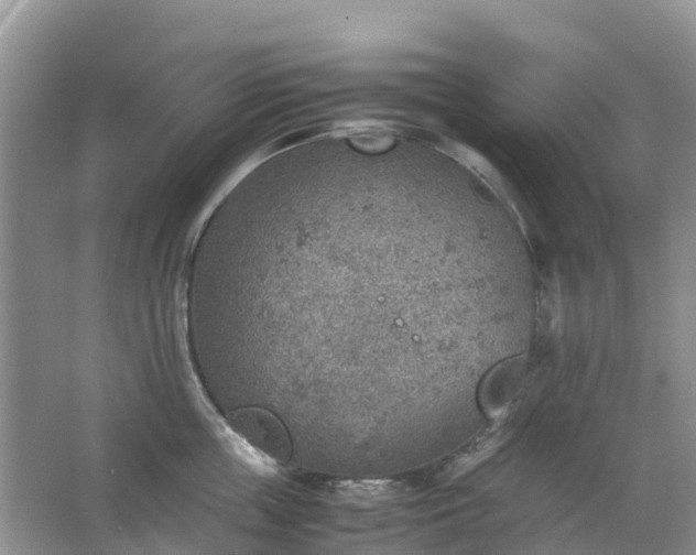 X0000067480859200604150014