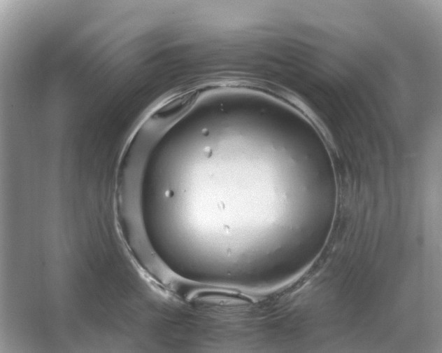 X0000067480861200604150014