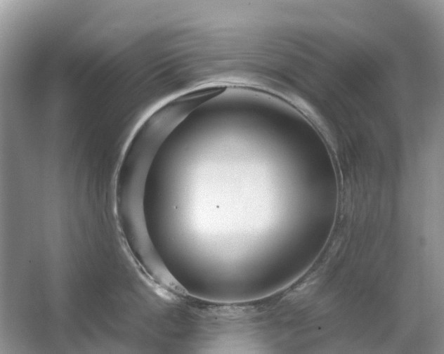 X0000067480862200604150014