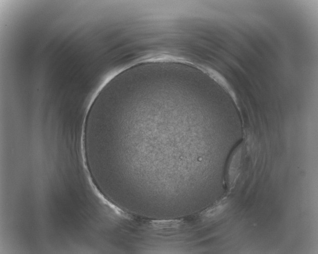 X0000067480863200604150014