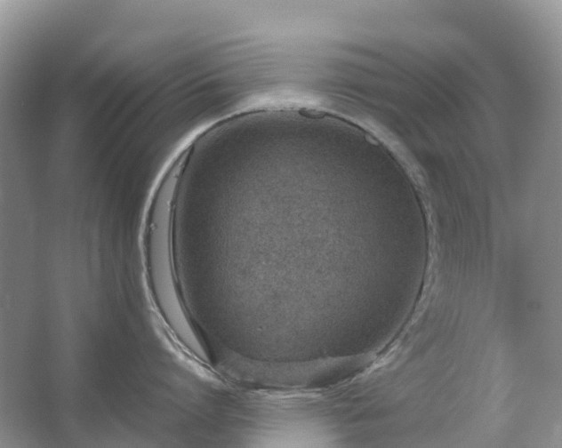 X0000067480864200604150014