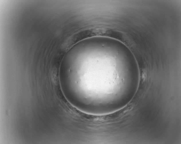 X0000067480867200604150013