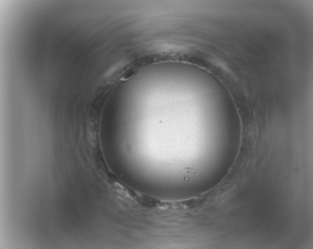 X0000067480869200604150013