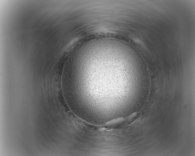 X0000067480870200604150013