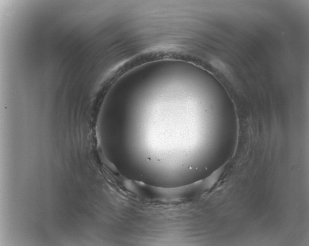 X0000067480872200604150013