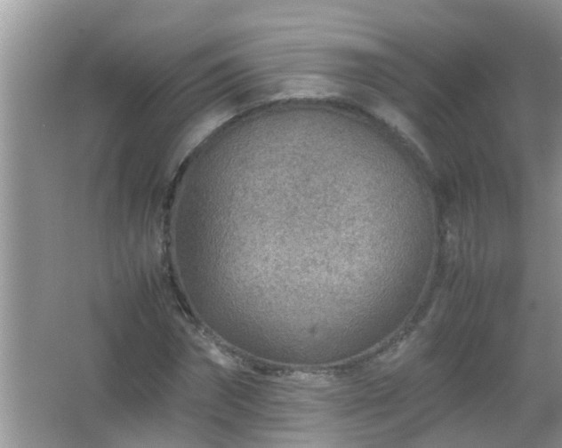 X0000067480874200604150013