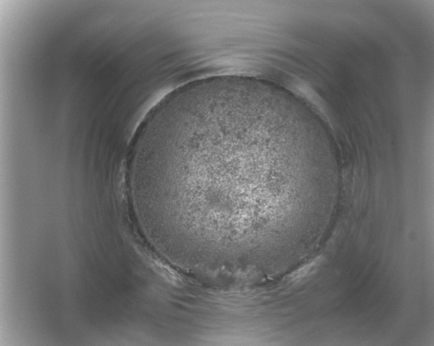 X0000067480875200604150013