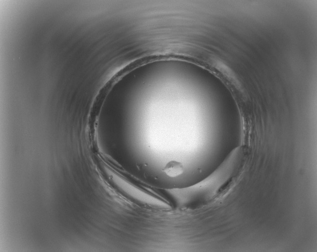 X0000067480876200604150013