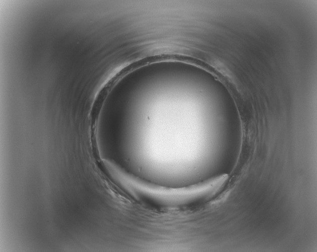 X0000067480877200604150013