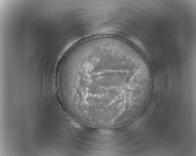 X0000067480878200604150013