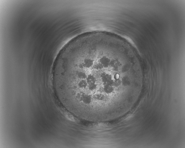 X0000067480879200604150013