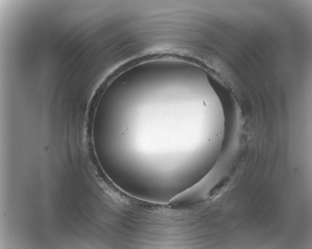 X0000067480880200604150013