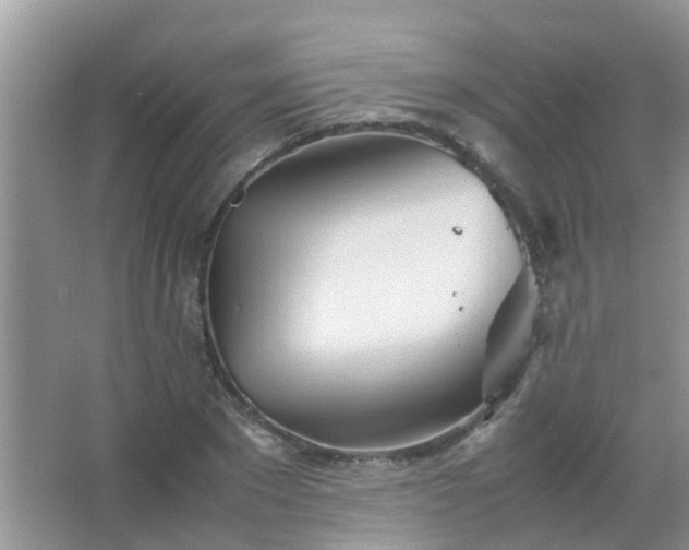 X0000067480881200604150013