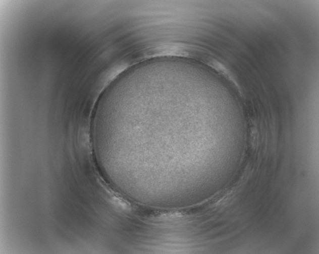 X0000067480882200604150013