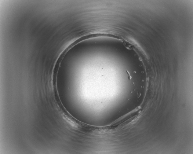 X0000067480884200604150013