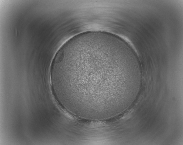 X0000067480887200604150013