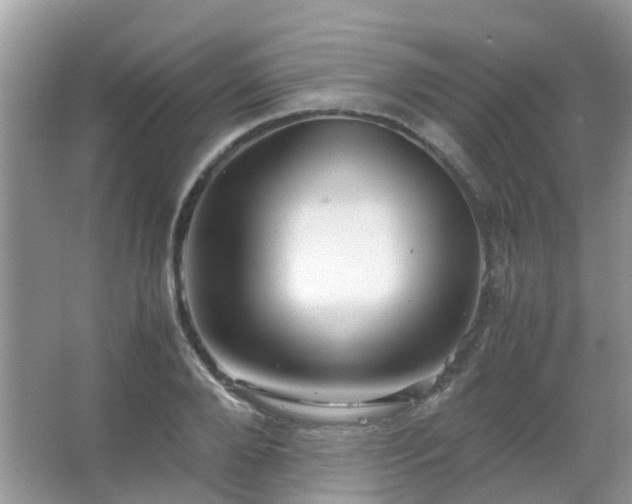 X0000067480888200604150013