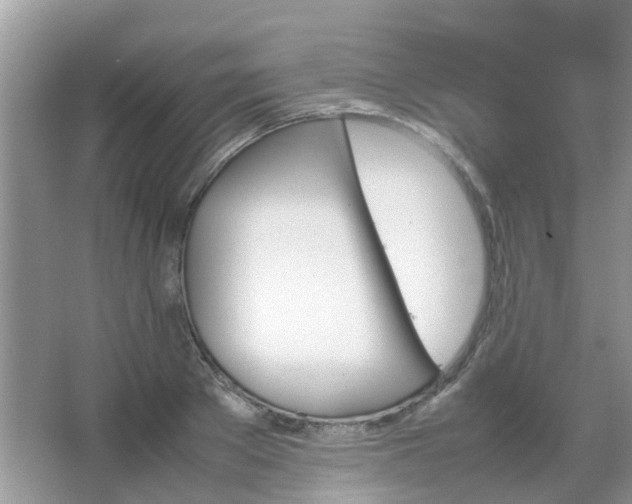 X0000067480889200604150013