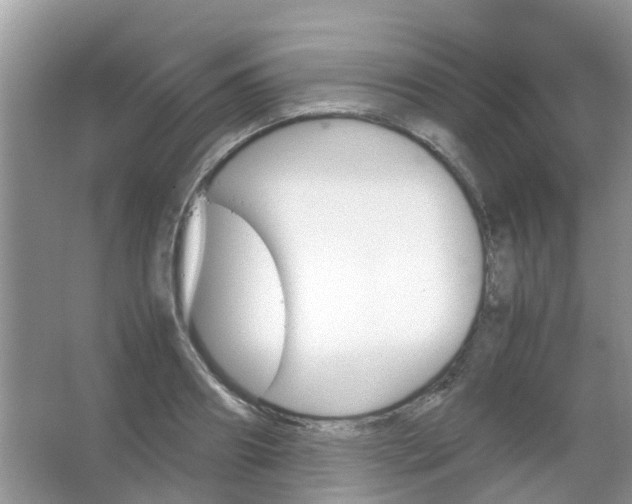 X0000067480890200604150013