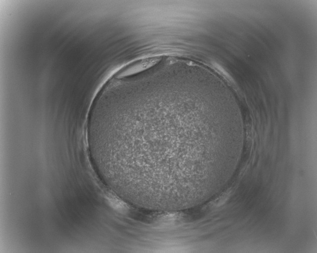 X0000067480891200604150013