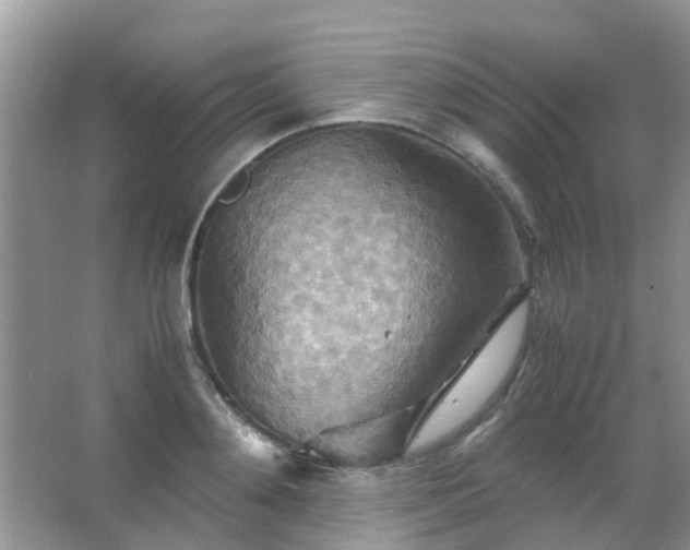 X0000067480892200604150013