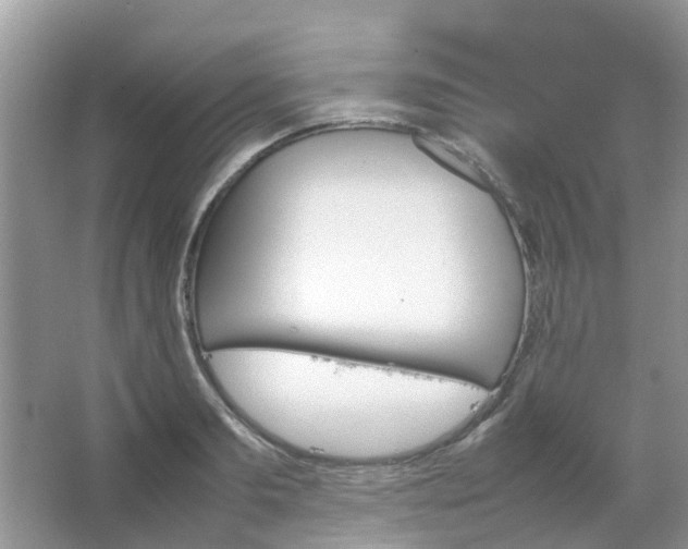 X0000067480893200604150013