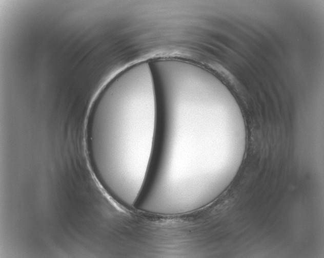 X0000067480894200604150013