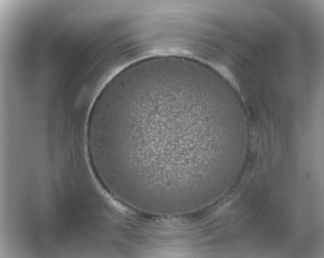 X0000067480895200604150013