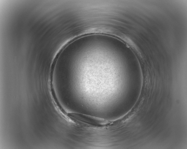 X0000067480896200604150013