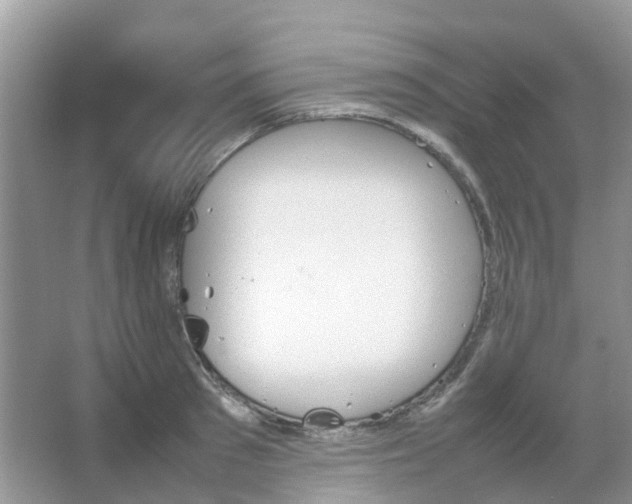 X0000067480897200604150013