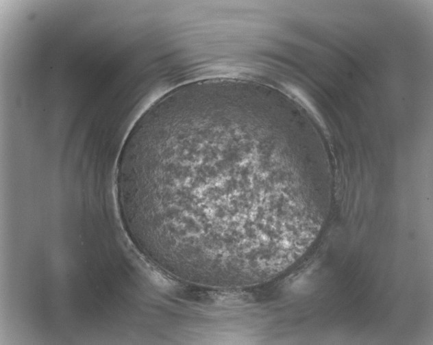 X0000067480899200604150013