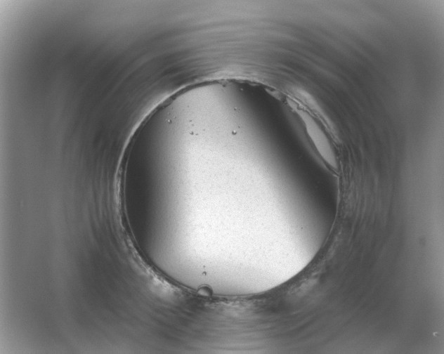 X0000067480900200604150013