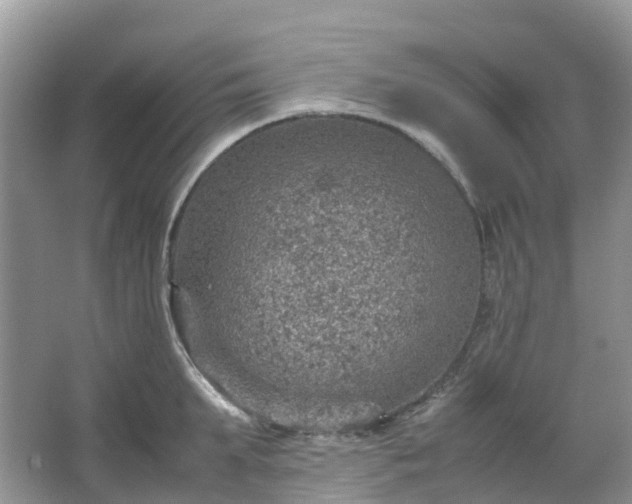 X0000067480903200604150013