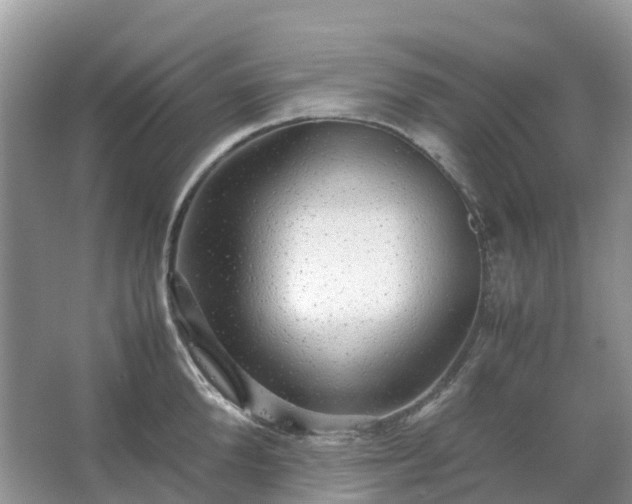 X0000067480904200604150013