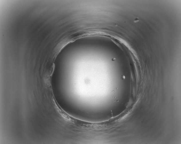 X0000067480905200604150013