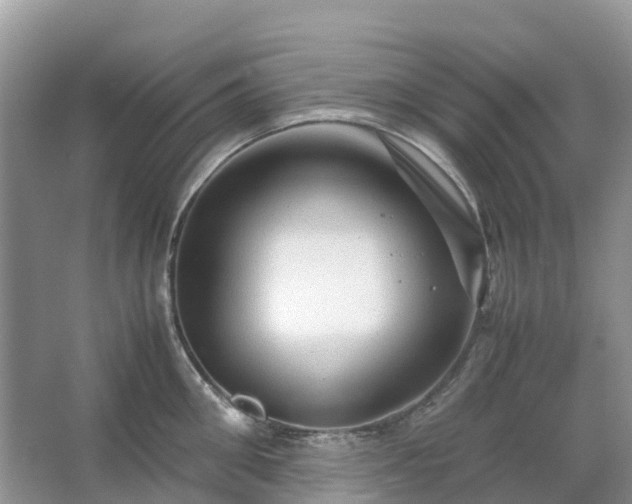 X0000067480906200604150013