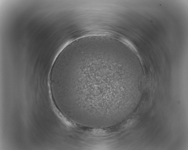 X0000067480907200604150013