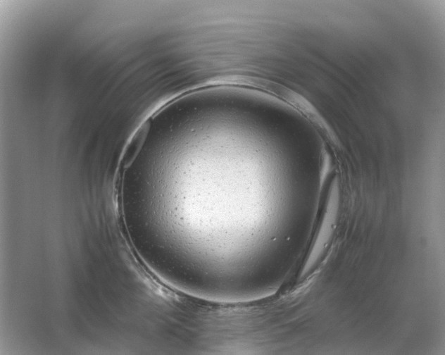 X0000067480908200604150013