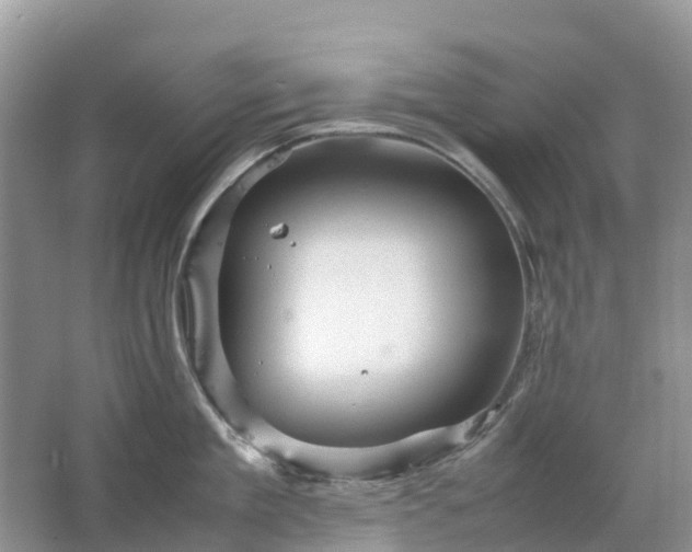 X0000067480909200604150013