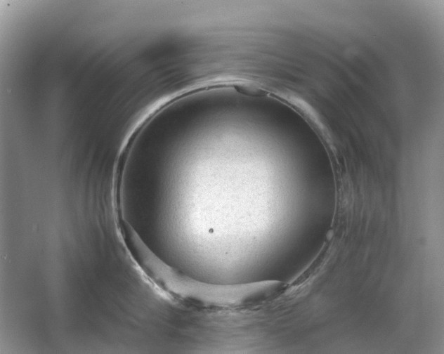 X0000067480910200604150013