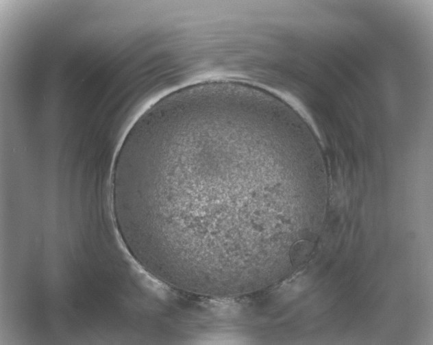 X0000067480911200604150013