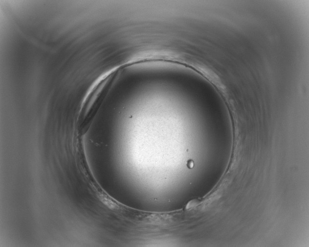 X0000067480912200604150013