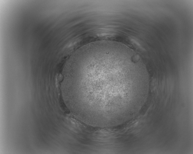 X0000067480917200604150012