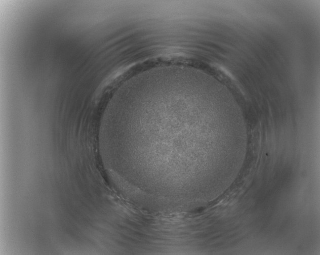 X0000067480919200604150012