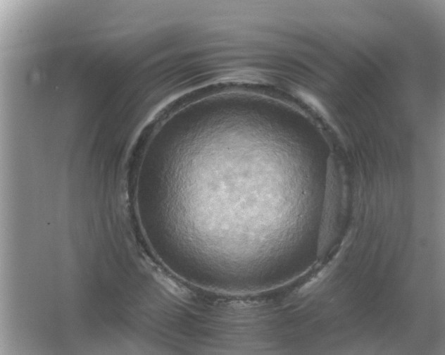 X0000067480923200604150012