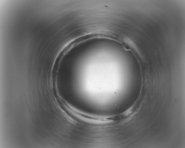 X0000067480924200604150012