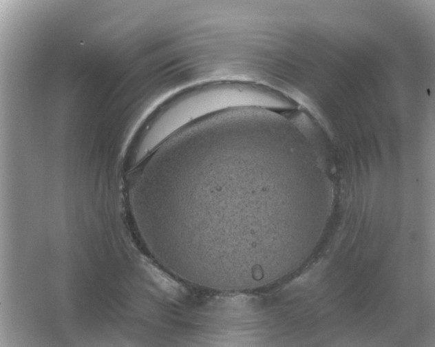 X0000067480926200604150012